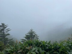 IMG_3673